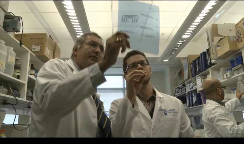 兩名身穿實驗服的男子在實驗室工作