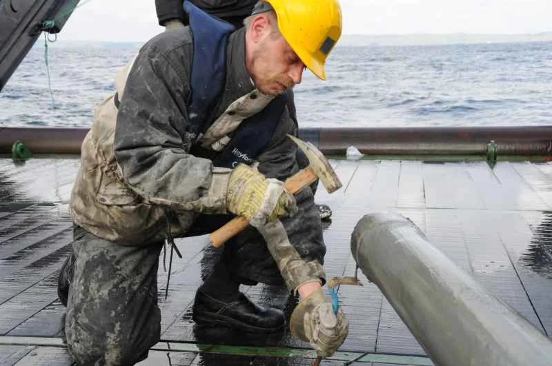 自侏羅紀時代以來一直被埋藏在海底的海洋微生物仍然“苟延殘喘”