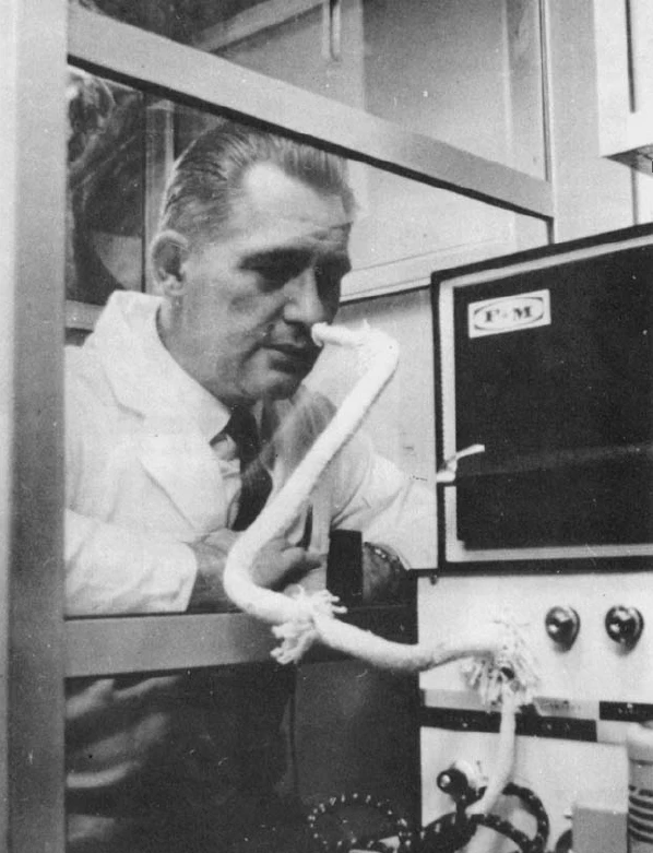 人類的鼻子如何幫助化學家分析味道