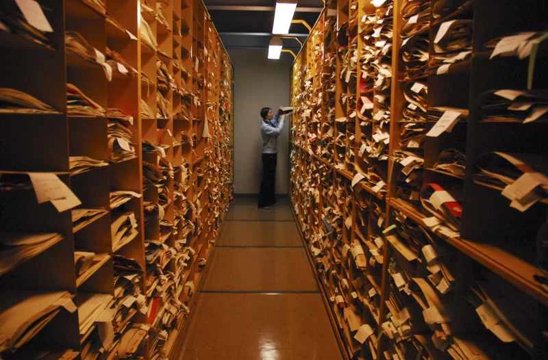 一次一片葉子，將生物多樣性數據上線