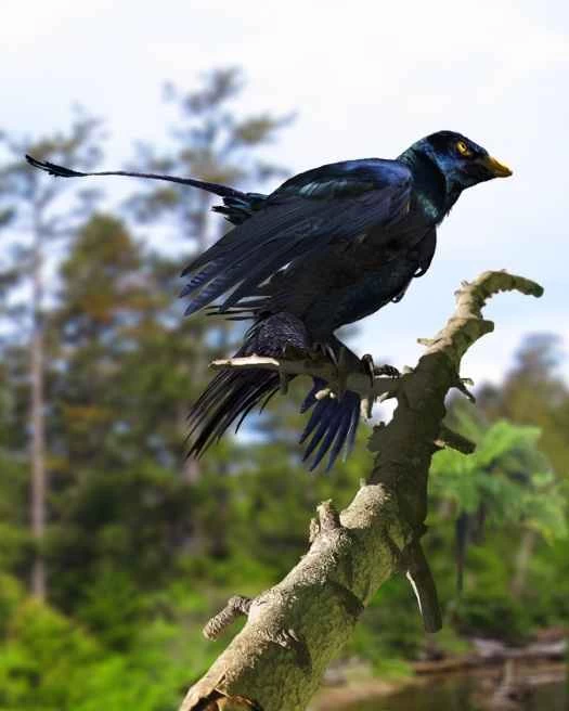 復原圖：一隻長著四隻虹彩翅膀的恐龍