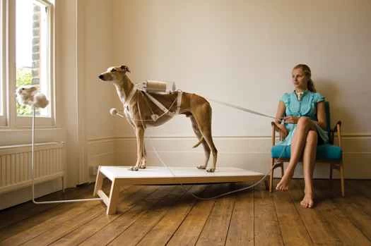 細菌培育的夾克衫及其他10項生物工程壯舉