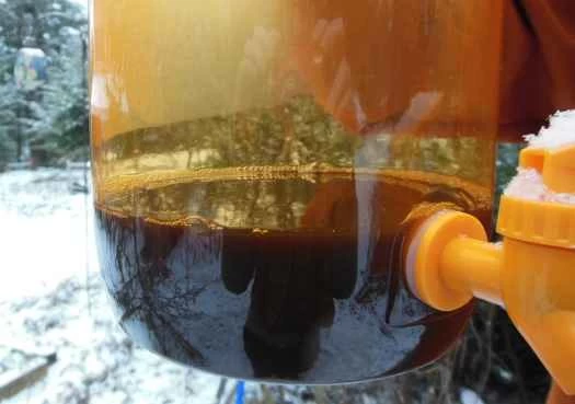 啤酒科學：如何讓烈性啤酒更烈