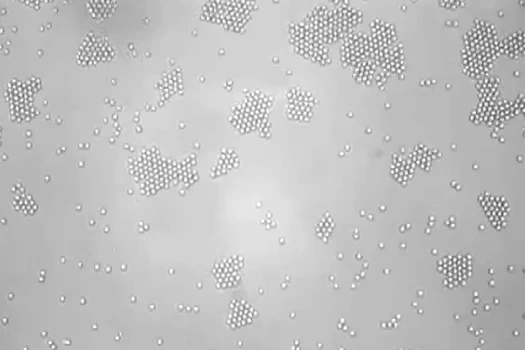 物理學家創造出近乎活的晶體