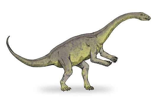 長頸巨龍是生長速度最快的恐龍