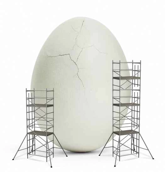 《大眾科學》問答：尋找無蛋雞蛋