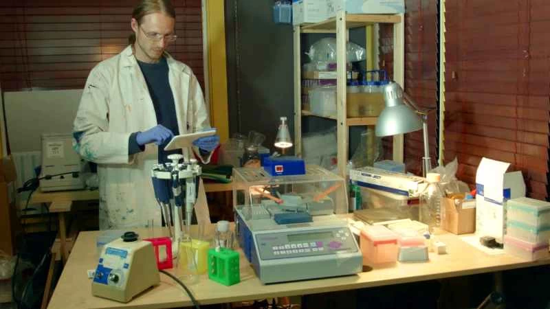 生物駭客能成功製造出「真正的純素起司」嗎？