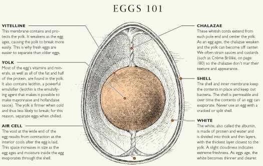 你的炒蛋做錯了，以及來自美國測試廚房的其他烹飪科學課程