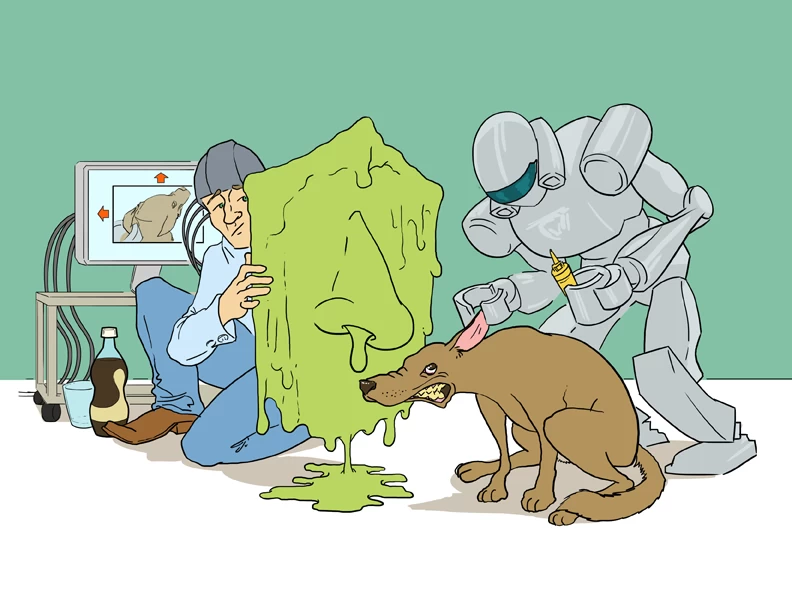 本週未來展望，11月12日至16日