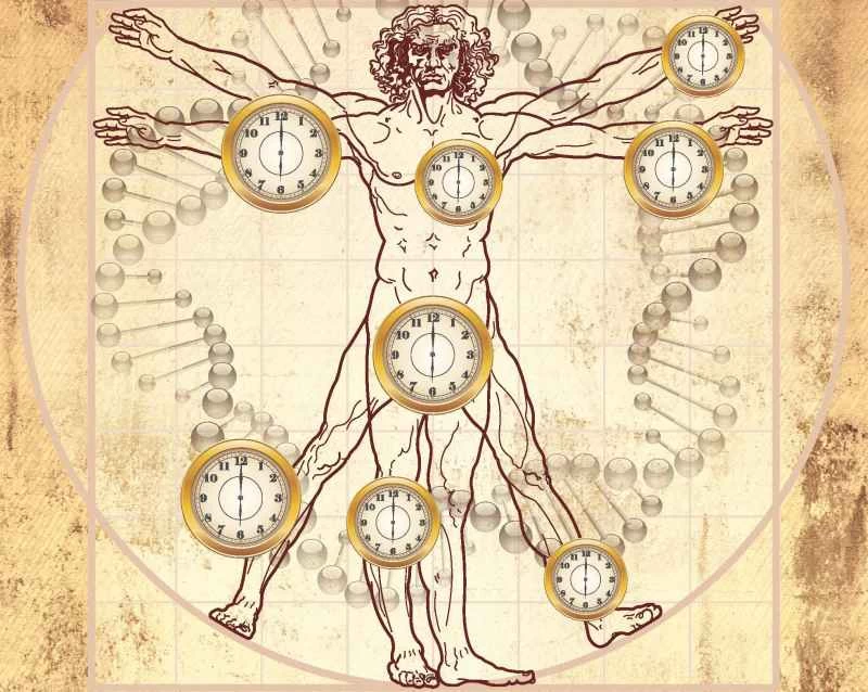 女性乳房老化速度遠快於身體其他部位。