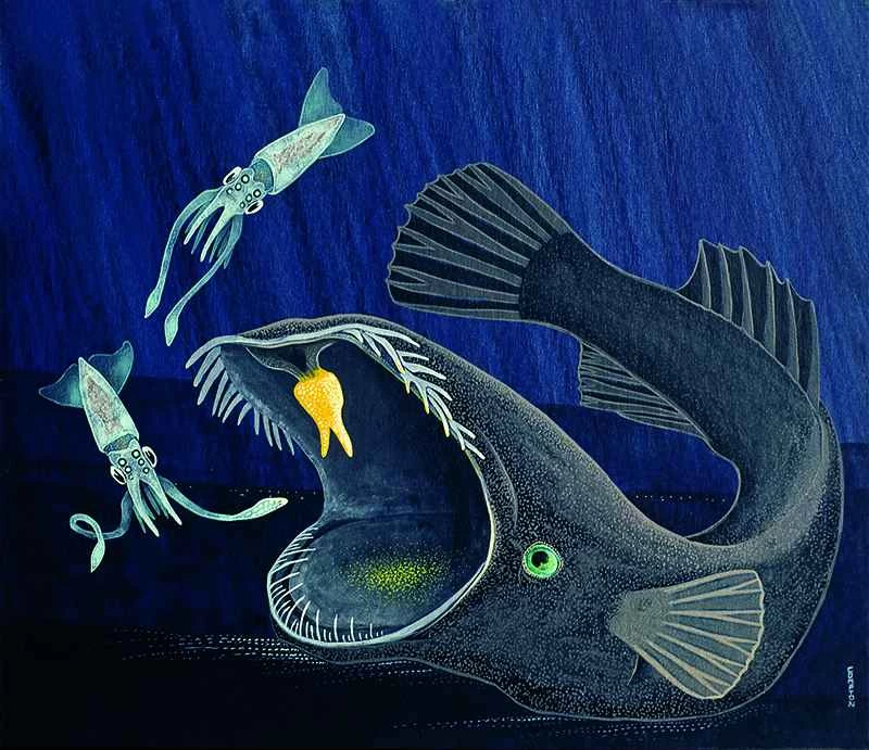 生物發光魚的奇異之美