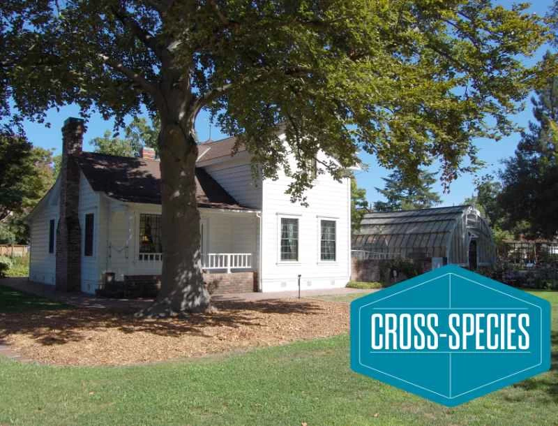 路德·伯班克實驗花園