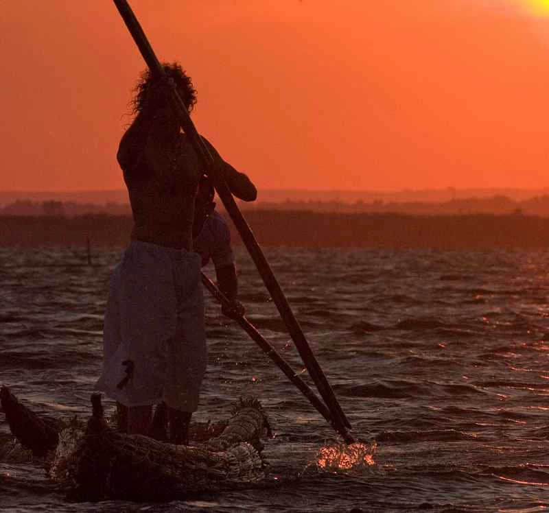 新證據：人類最後共同的男性和女性祖先生活在何時？